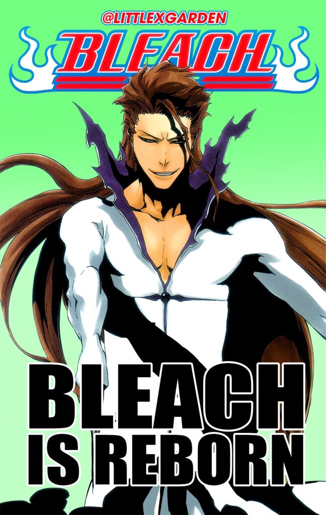Bleach Aizen Full Color 648x1024