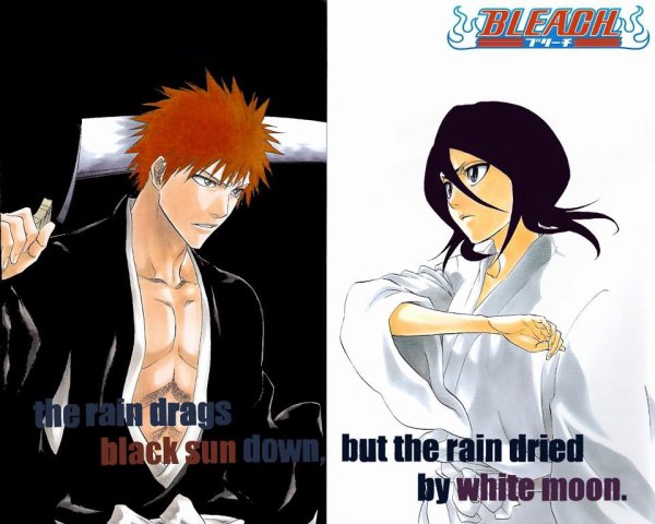 Bleach Black Sun Ichigo White Moon Rukia