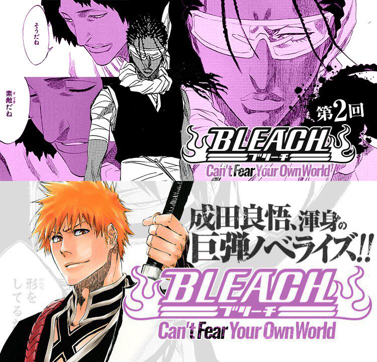 Bleach Can T Fear Your Own World Chapitre 1 Traduction Francaise