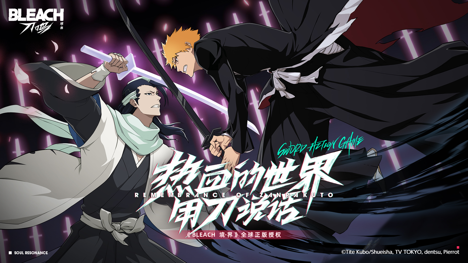 Bleach Soul Resonance