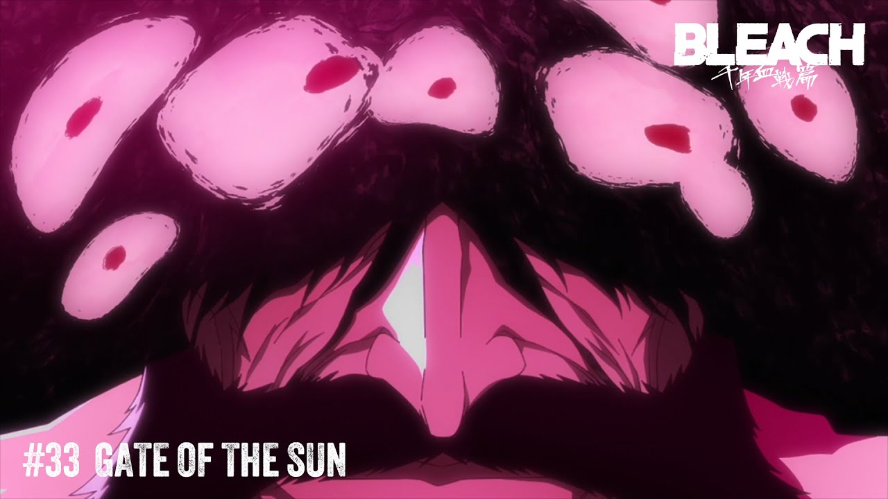 Bleach: Thousand-Year Blood War 30