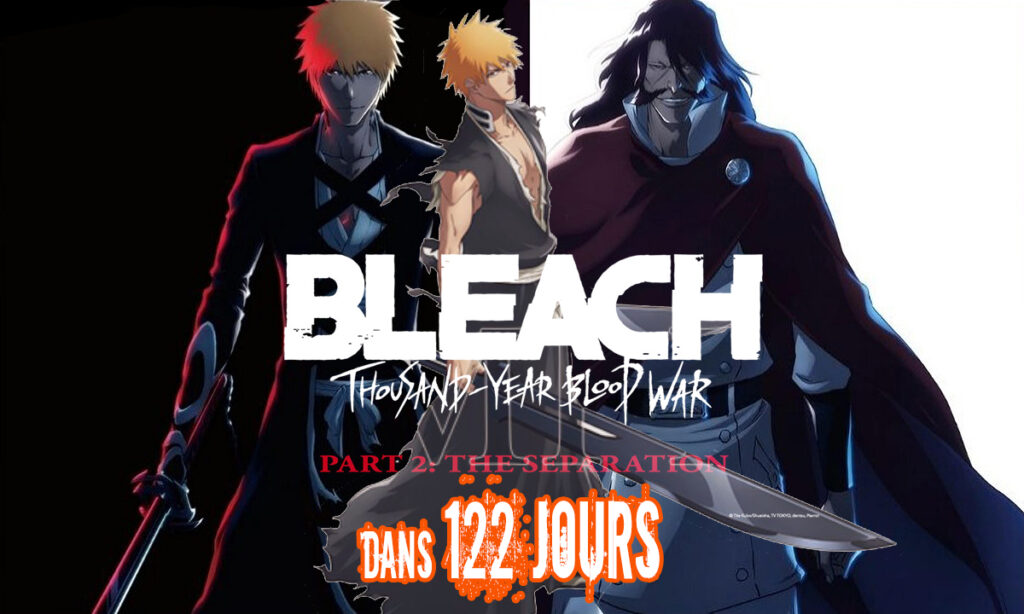 Bleach Tite Kubo Compte à rebours