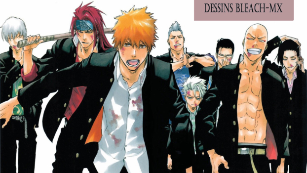 Concours Bleach Mx Lactualité Des Animes Des Mangas