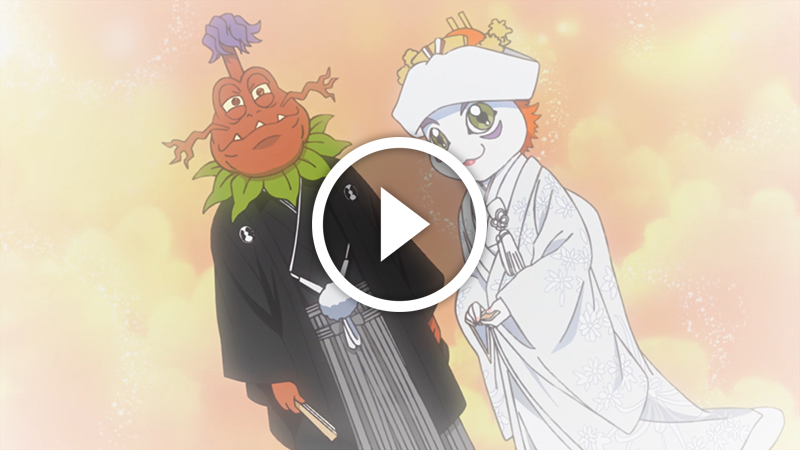 One Piece Episode 979 Une Chance Terrifiante La Strategie De Kinemon