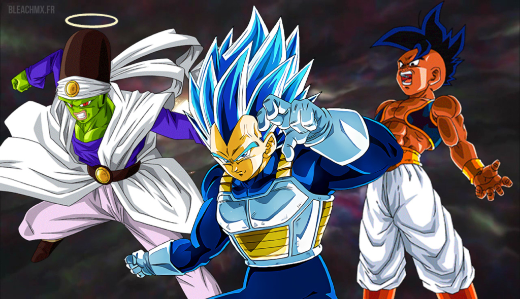 Vegeta SSB Evolution, Paikuhan, Oob