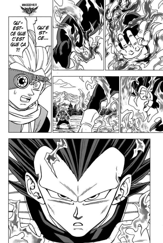 Dragon Ball Super Chapitre 74 Résumé
