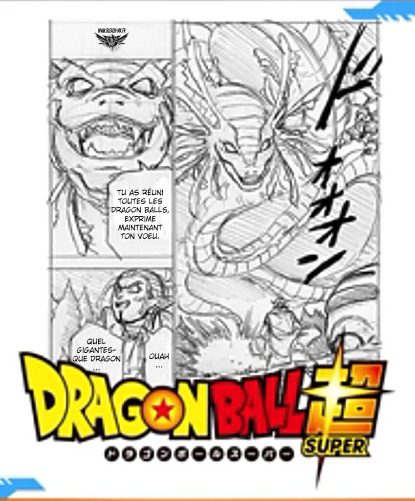 Dragon Ball Super 78 Croquis 1 849x1024