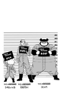 Dragon Ball Super Tome 12