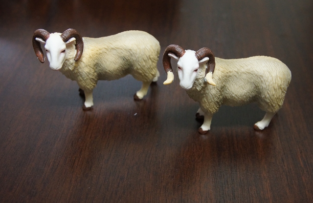 Dragon Ball Super Toyotaro Explique Moro Bureau 3