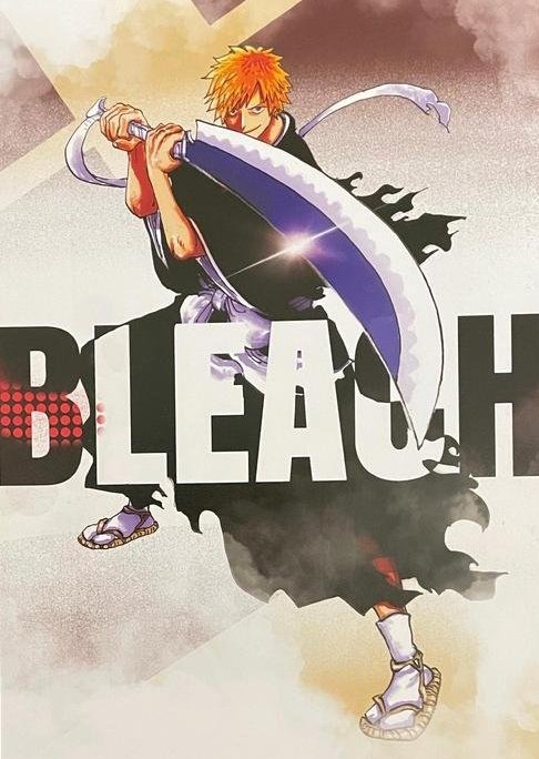 Ichigo-Bleach-Anime-Eiichiro-Oda