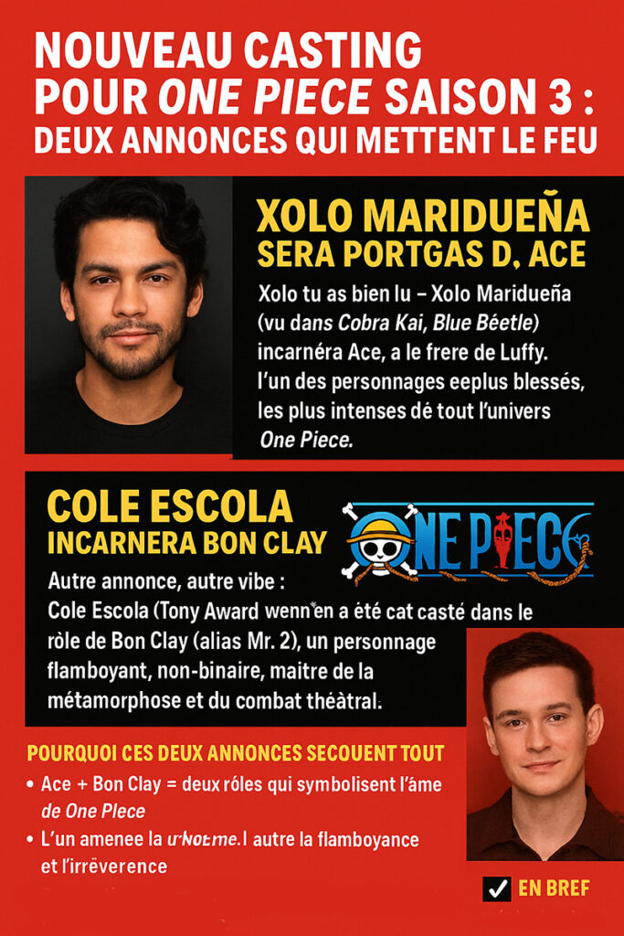 ONE PIECE Saison 3 Deux Annonces De Casting Qui Mettent Le Feu 683x1024