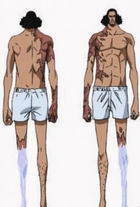 One Piece Aokiji Kuzan 203x300