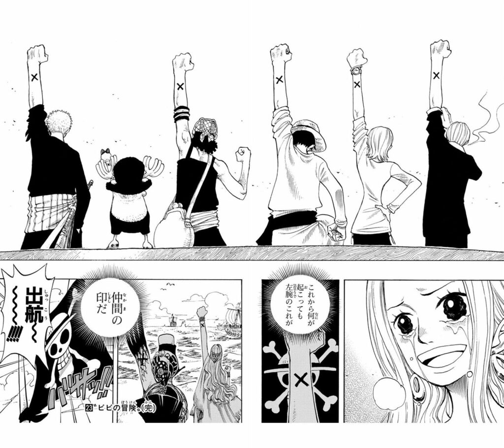 One Piece Aurevoir Vivi Mugiwara 1024x910