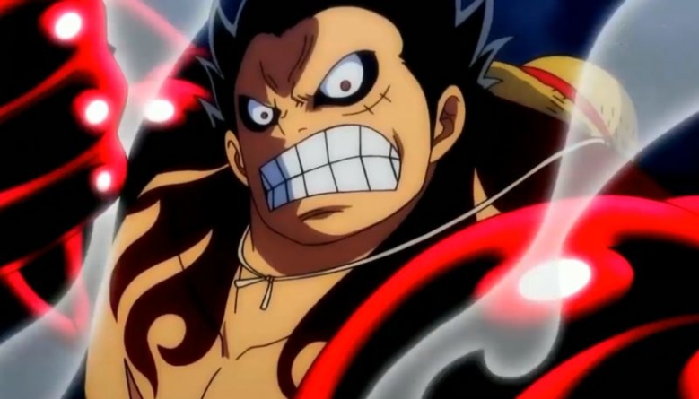 One Piece Saison 1 Adn
