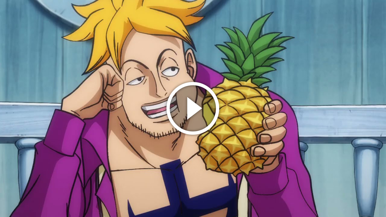 One Piece Ep 1014 Date De Sortie One Piece épisode 1014 : « Les larmes de Marco. La fraternité de l'équipage  de Barbe Blanche »