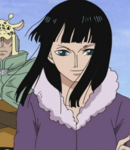 Robin Dragon One Piece