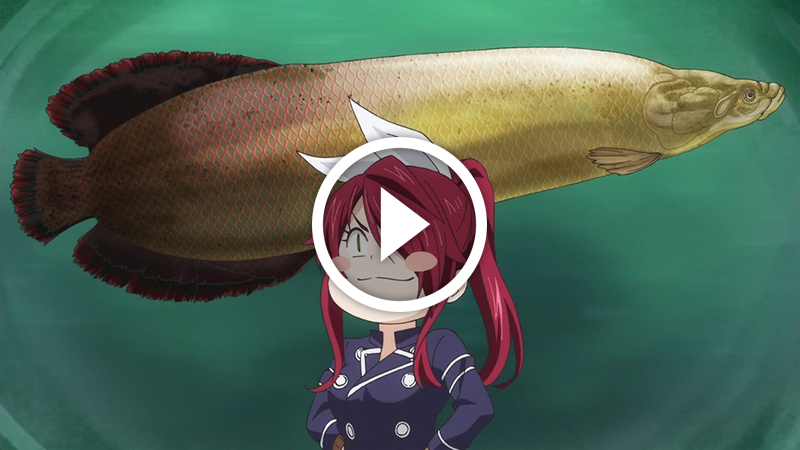 Shokugeki No Souma Shin No Sara 08