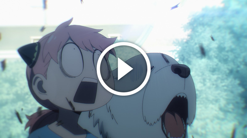 SPY x FAMILY épisode 24 – Saison 1