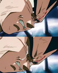 Vegeta Crying