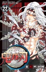 Demon Slayer Vol 22 191x300